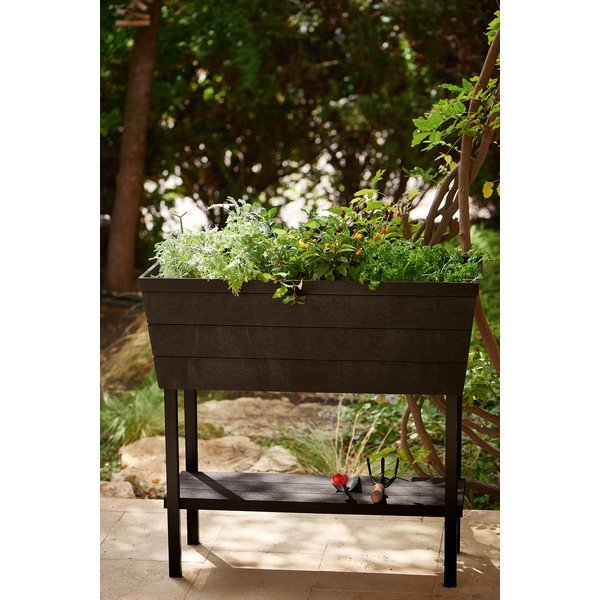 Petto Urban Bloomer - Keter-image-2