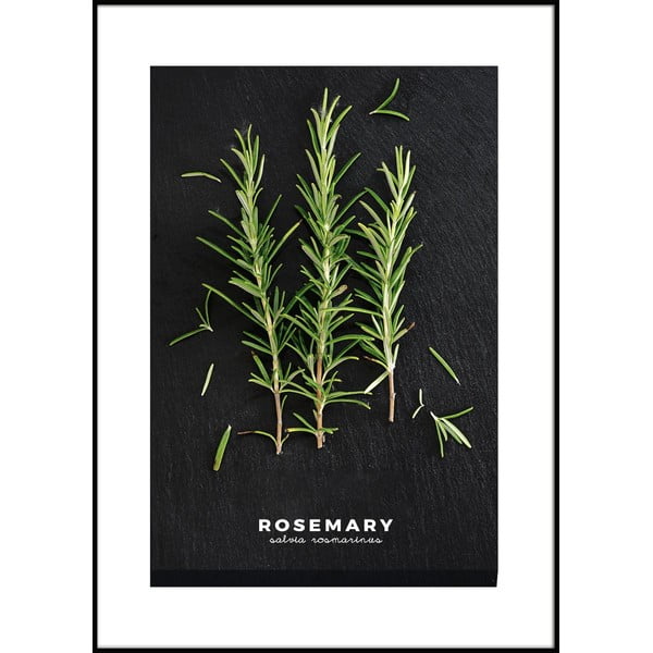 Poster in cornice 50x70 cm Rosemary - Styler