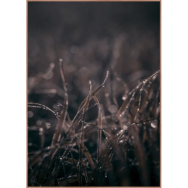 Poster con cornice 50x70 cm Mellow Grasses 5 - Malerifabrikken