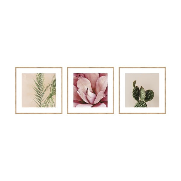 Dipinti in set di 3 pezzi 22,5x22,5 cm Flowers - knor