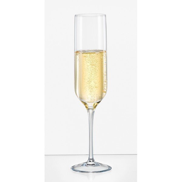 Set di 6 bicchieri da champagne , 200 ml Uma - Crystalex-image-1