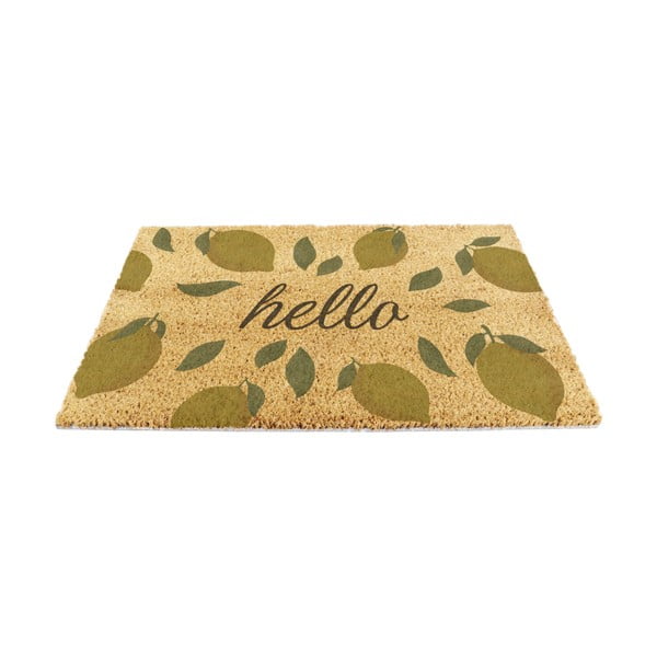 Zerbino in fibre di cocco 40x60 cm Hello Lemons – Artsy Doormats
