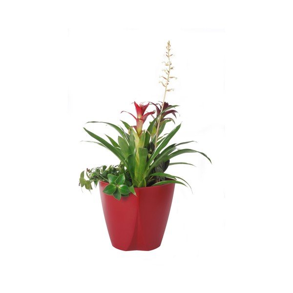 Vaso Camay rosso, ø 18,5 cm - Plastia-image-1
