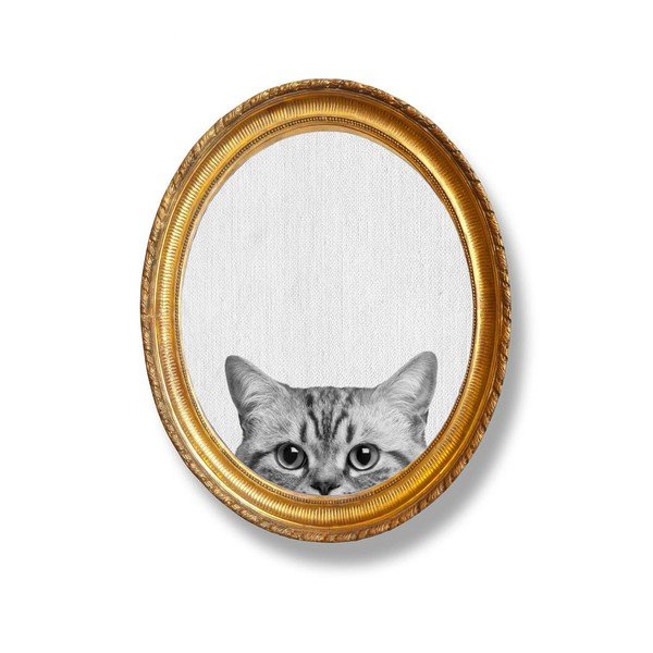 Quadro murale ovale Gatto, 40 x 50 cm - Really Nice Things