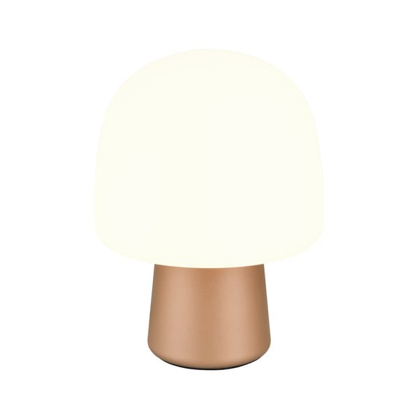 Lampada da tavolo in bianco-bronzo con paralume in vetro (altezza 27 cm) Steen - Trio-image-1