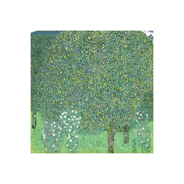 Reprodukce obrazu Gustav Klimt - Rose Bushes under the Trees, 70 x 70 cm