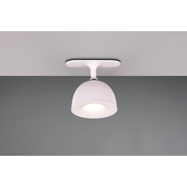 Lampada da tavolo LED bianca dimmerabile con clip (altezza 41 cm) Maxima - Trio-image-2