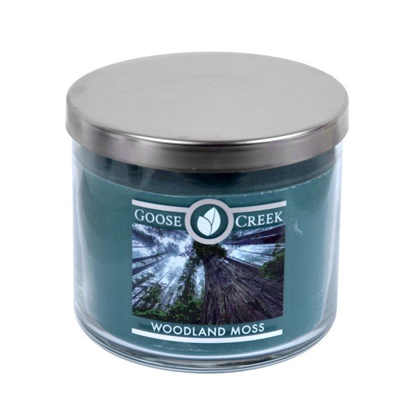 Candela profumata in scatola di vetro, 35 ore di combustione Woodland Moss - Goose Creek