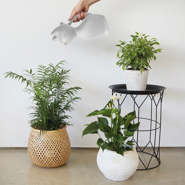 Annaffiatoio in plastica da 2 l Meow - Balvi-image-1