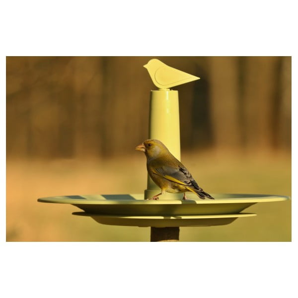 Mangiatoia per uccelli Finch - Plastia-image-1