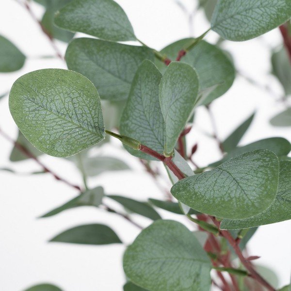 Eucalipto artificiale (altezza 180 cm) Eucalyptus - Ixia-image-1