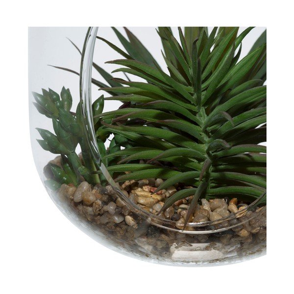 Succulenta artificiale Terra - Sema-image-2