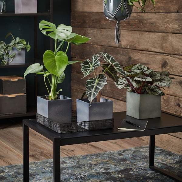 Coprivaso in ceramica Latina - Big pots-image-1