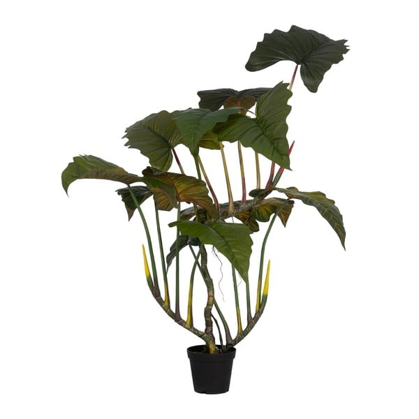 Pianta artificiale (altezza 185 cm) Alocasia - Ixia