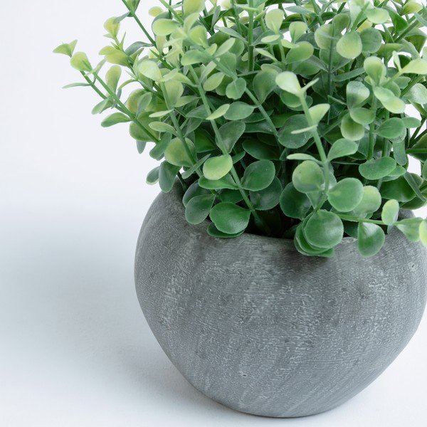 Eucalipto artificiale in vaso - Kave Home-image-1