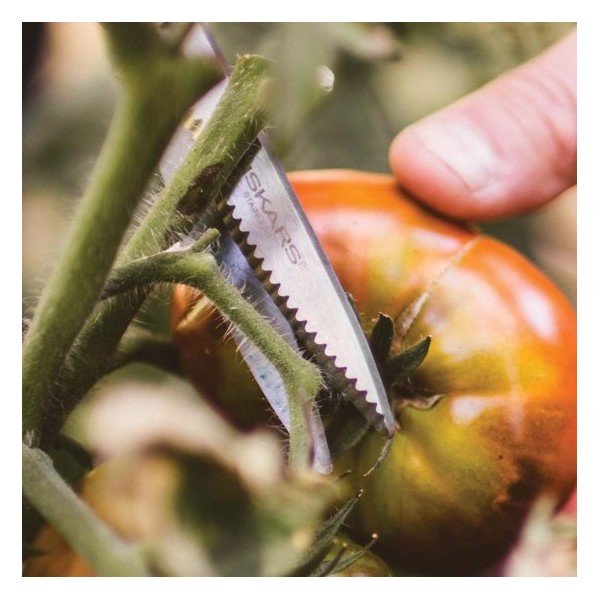 Forbici in acciaio inox Solid Veggie per tagliare erbe e verdure - Fiskars-image-2