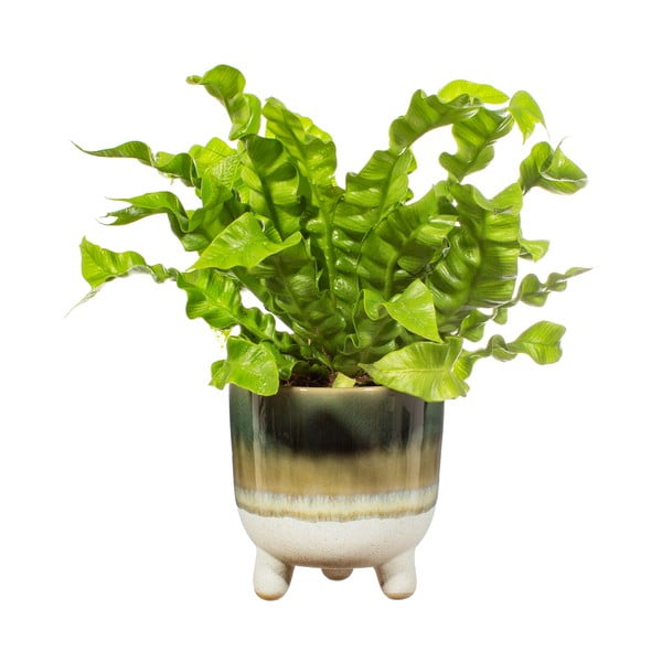 Vaso verde Bohemian Home , ø 11,7 cm Mojave - Sass & Belle-image-2