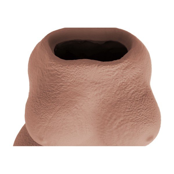 Vaso marrone Lady - PT LIVING-image-4
