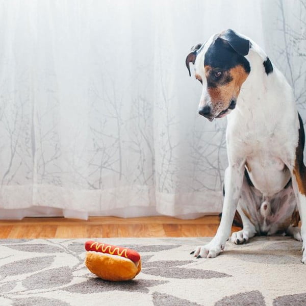 Cane giocattolo Hot Dog - P.L.A.Y.-image-1