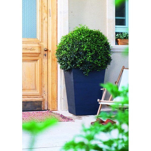 Vaso da giardino Kind, grigio, altezza 73 cm - Keter