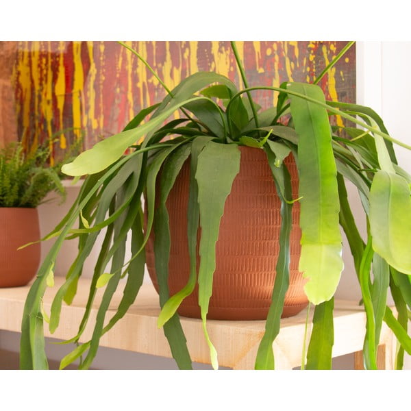 Vaso in ceramica fatto a mano ø 16 cm Aura - Artevasi-image-1