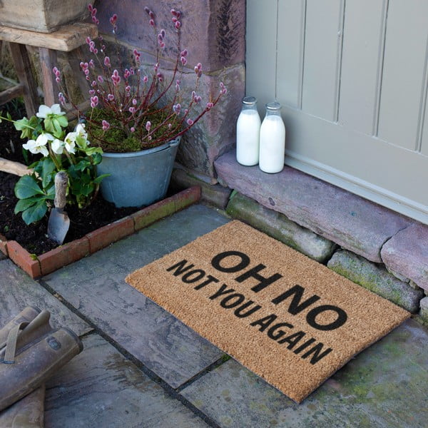 Zerbino in cocco 40x60 cm Not You Again - Artsy Doormats-image-3