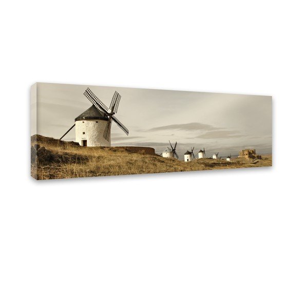 Quadro su tela Harmony Field, 45 x 140 cm - Styler