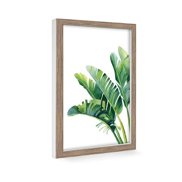 Poster 60x90 cm Musa - knor-image-1