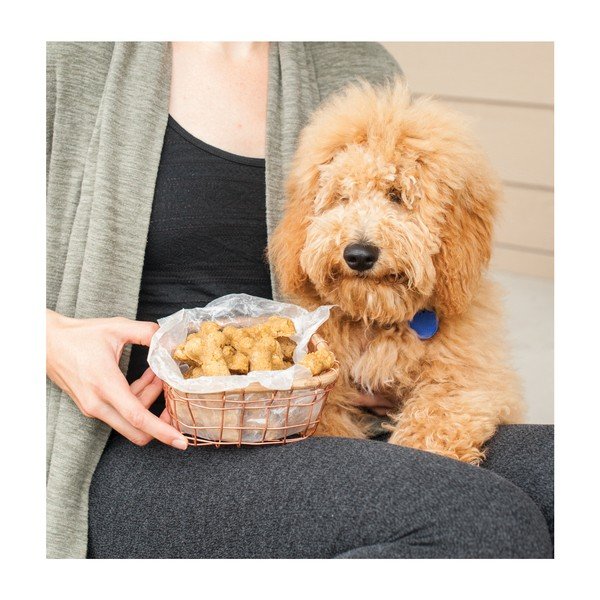 Stampo blu per biscotti per cani a forma di osso - Nordic Ware-image-3