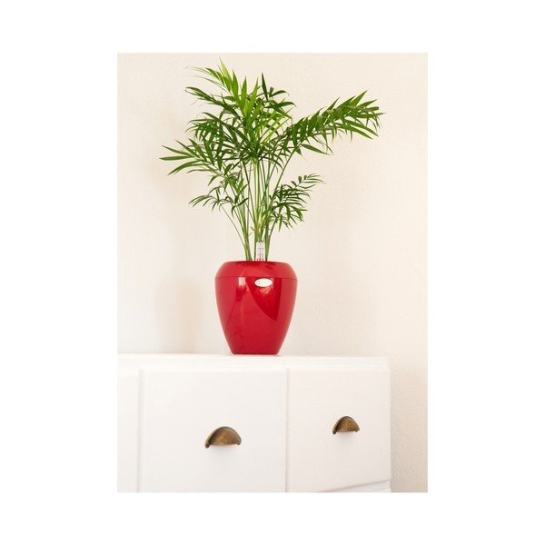 Vaso rosso autoinnaffiante Calimera Camay, ø 17 cm - Plastia-image-1