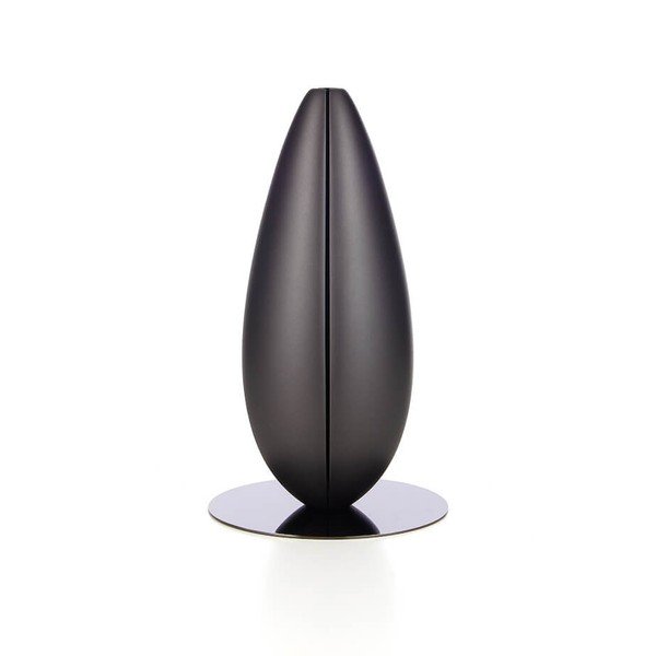 Diffusore profumato nero Bud - Bloomy Lotus-image-3