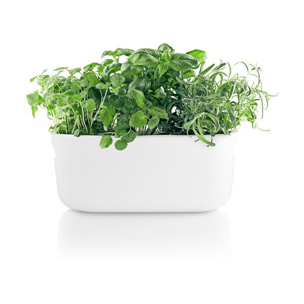 Vaso in ceramica per erbe aromatiche/auto-irrigazione - Eva Solo-image-4