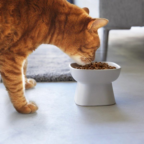 Ciotola in ceramica per animali domestici Tower - YAMAZAKI-image-1