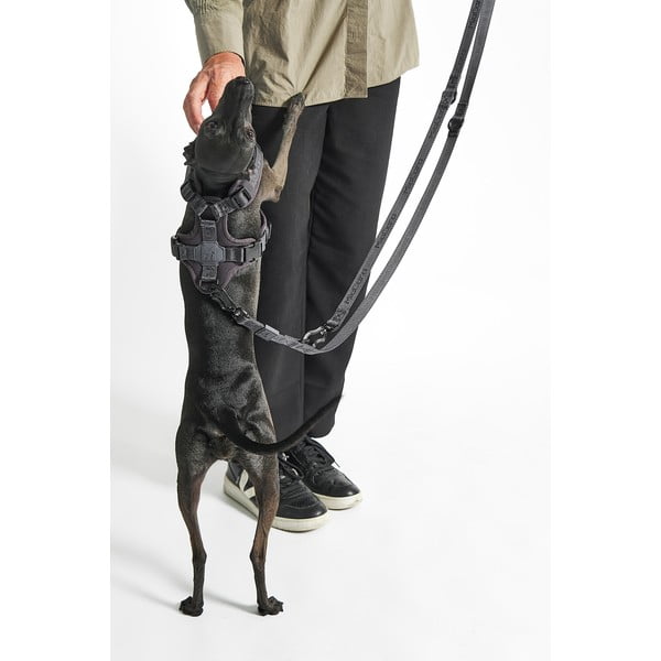 Guinzaglio verde lunghezza 200 cm Modena Grolive 25 mm - MiaCara-image-3