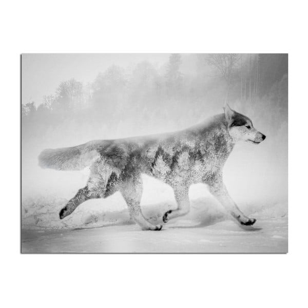 Quadro su tela Nordic , 75 x 100 cm Wolf - Styler