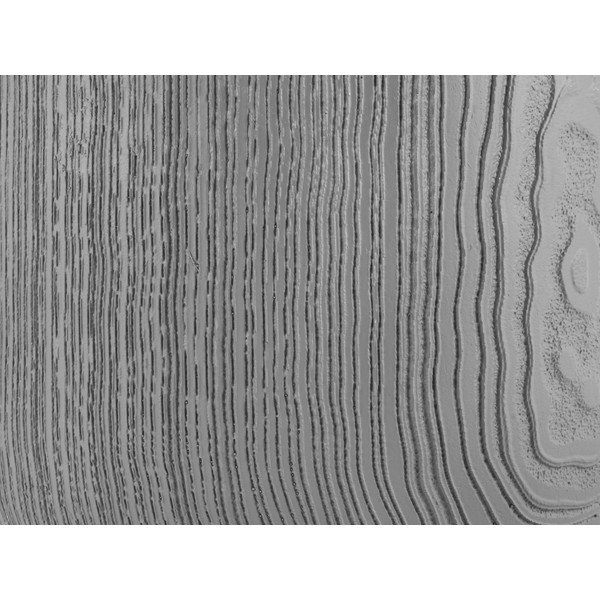 Coprivaso in plastica ø 21 cm Tam Tam - PT LIVING-image-1