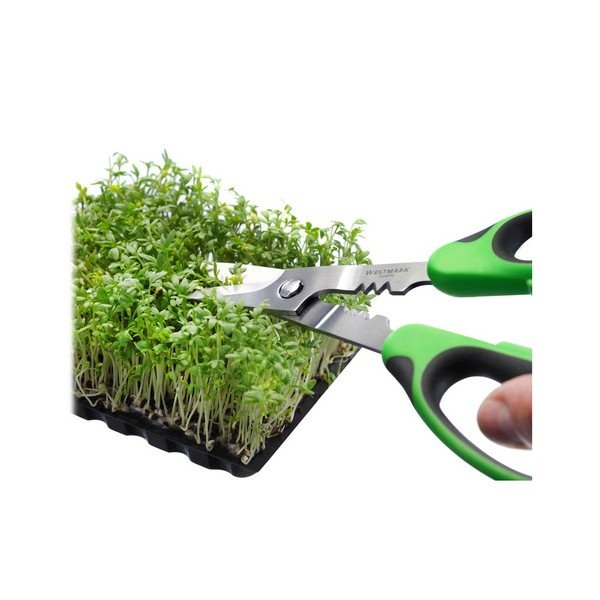 Forbici per erbe Erbe - Westmark-image-3