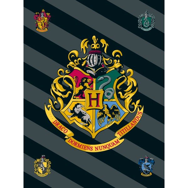 Coperta in pile per bambini 100x150 cm Harry Potter - Jerry Fabrics