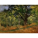 Riproduzione di un dipinto , 70 x 50 cm Claude Monet - The Bodmer Oak, Fontainebleau Forest - Fedkolor