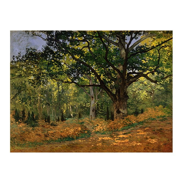 Riproduzione di un dipinto , 70 x 50 cm Claude Monet - The Bodmer Oak, Fontainebleau Forest - Fedkolor