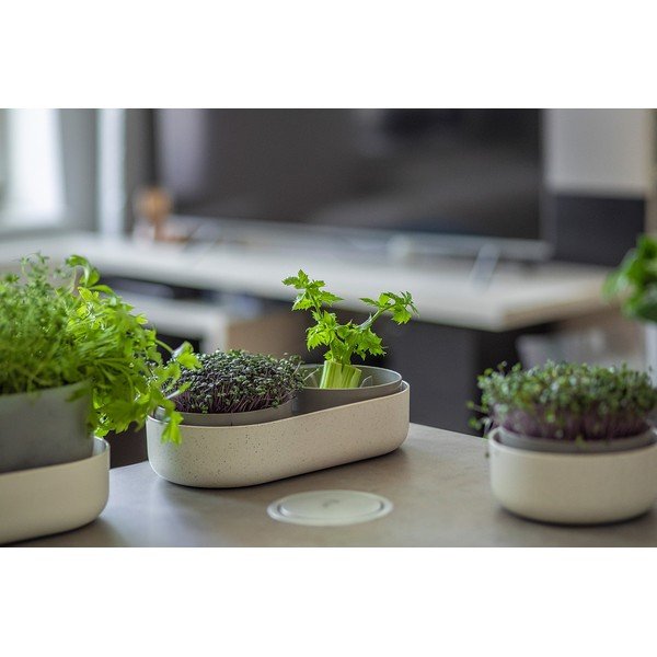 Vasetto per germogli in plastica Microgreens + Regrow – Plastia-image-2