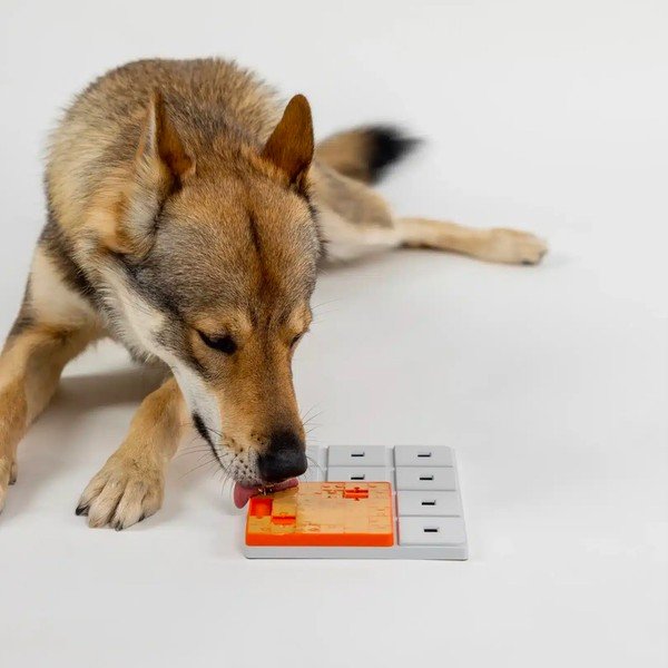 Puzzle per cani Terra - Pawzler-image-2
