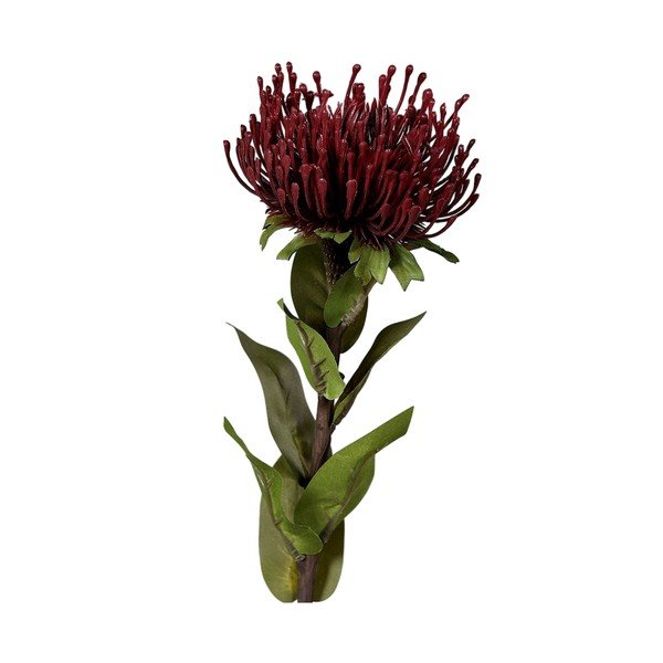 Fiore artificiale (altezza totale 74 cm) Protea – Ego Dekor