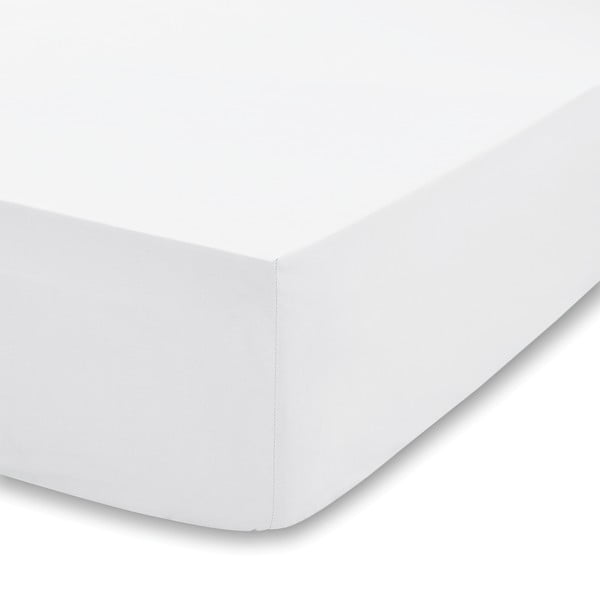 Lenzuolo elastico bianco 135x190 cm - Bianca