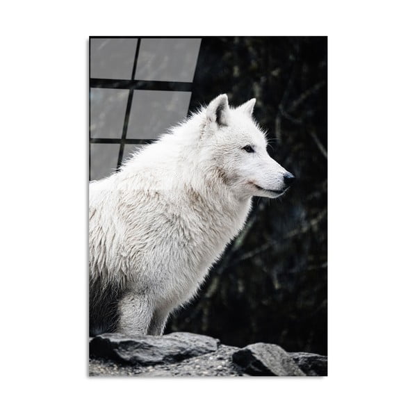 Pittura su vetro 70x100 cm White Wolf - Wallity
