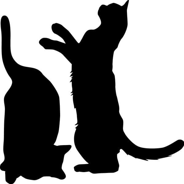 Set di 2 adesivi "Cute Cats - Ambiance-image-1