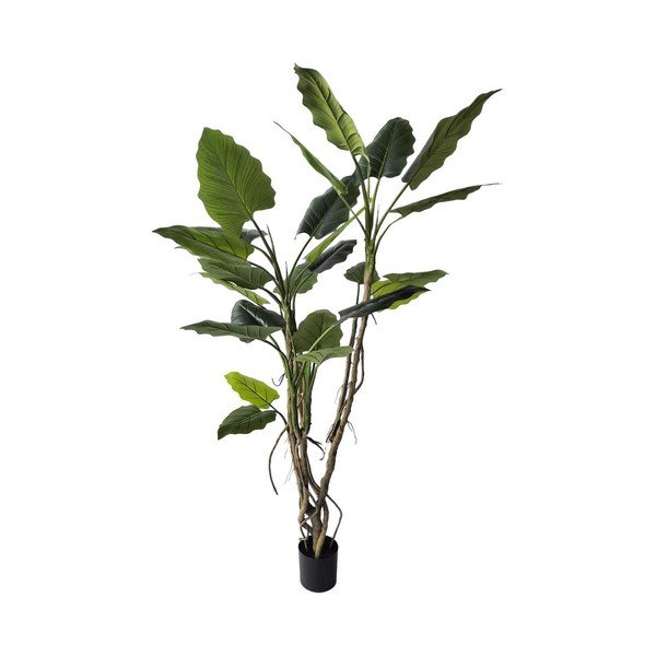 Fiore artificiale (altezza totale 190 cm) Alocasia – Bizzotto