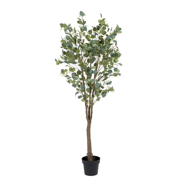 Eucalipto artificiale (altezza 173 cm) Eucalyptus - Ixia