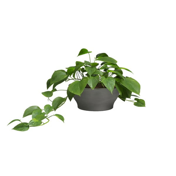 Vaso in terracotta ø 23 cm Saramago - Artevasi-image-1