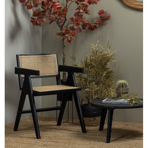 Sedia da pranzo in legno di pino nero Gunn - WOOOD-image-1